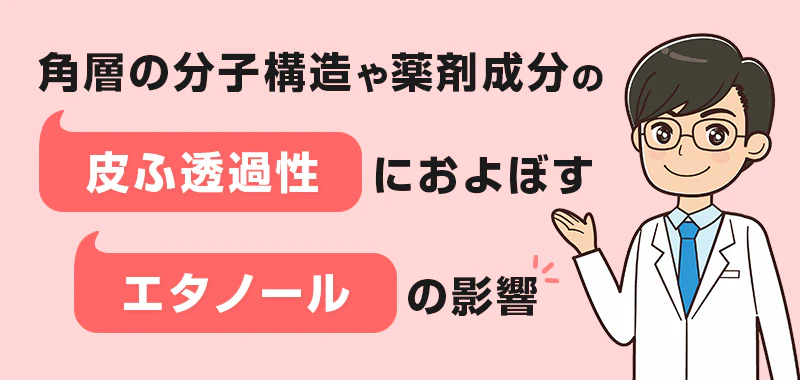 角層の分子構造や薬剤成分の皮ふ透過性におよぼすエタノールの影響