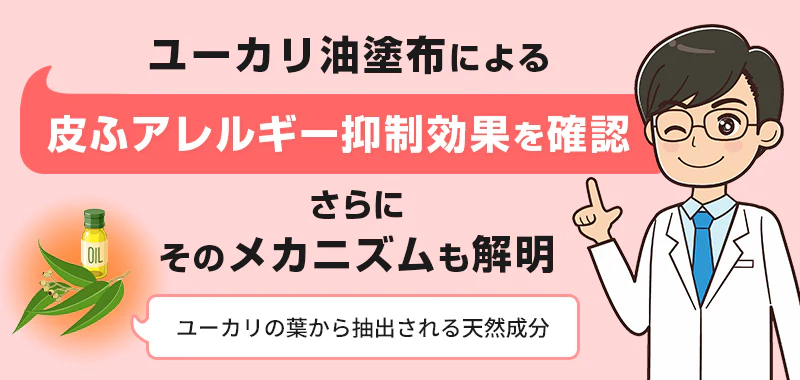 ユーカリ油塗布による皮ふアレルギー抑制効果を確認 さらにそのメカニズムも解明 ユーカリの葉から抽出される天然成分