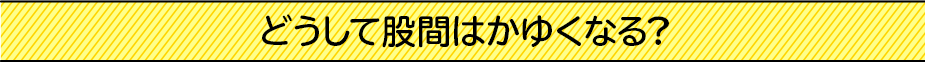 どうして股間はかゆくなる?