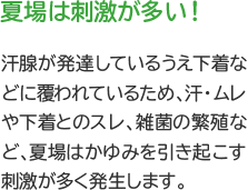 夏場は刺激が多い！　汗腺が発達しているうえ下着などに覆われているため、汗・ムレや下着とのスレ、雑菌の繁殖など、夏場はかゆみを引き起こす刺激が多く発生します。