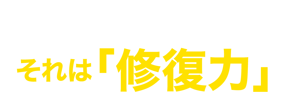 かかとのささくれ割れ パックリ割れに ヒビケアft軟膏 池田模範堂