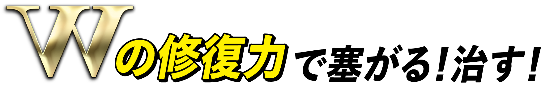 Wの修復力で塞がる！治す！