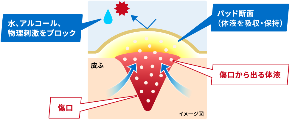 水、アルコール、物理刺激をブロック　パッド断面（体液を吸収・保持）