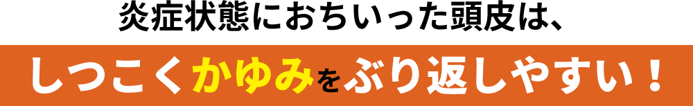 炎症状態におちいった頭皮は、しつこくかゆみをぶり返しやすい