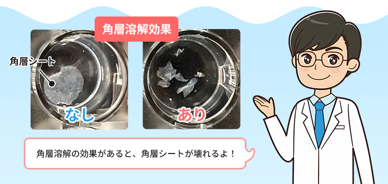 角層溶解効果 角層溶解の効果があると、角層シートが壊れるよ！