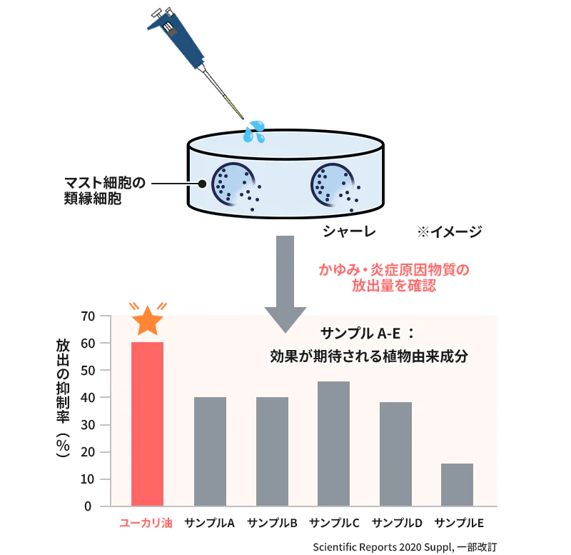 かゆみ・炎症原因物質の放出量を確認