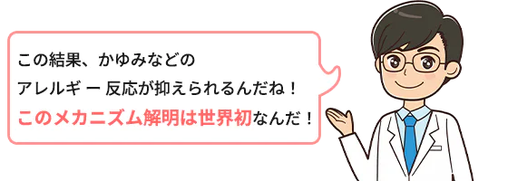 この結果、かゆみなどのアレルギー反応が抑えられるんだね！このメカニズム解明は世界初なんだ！