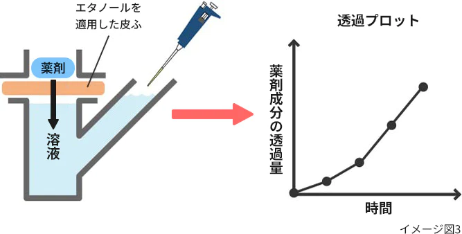 皮ふ透過性の試験方法のイメージ