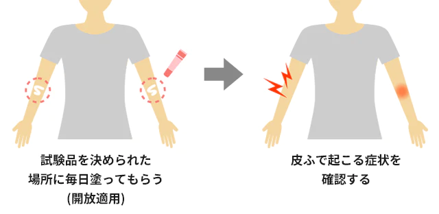 試験品を決められた場所に毎日塗ってもらう（開放適用） 皮ふで起こる症状を確認する