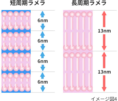 ラメラ構造のイメージ