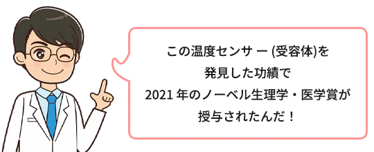 この温度センサ ー (受容体)を発見した功績で2021年のノーベル生理学・医学賞が授与されたんだ！