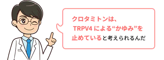 クロタミトンは、TRPV4によるかゆみを止めていると考えられるんだ