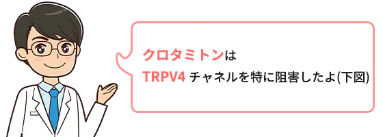 クロタミトンはTRPV4 チャネルを特に阻害したよ(下図)