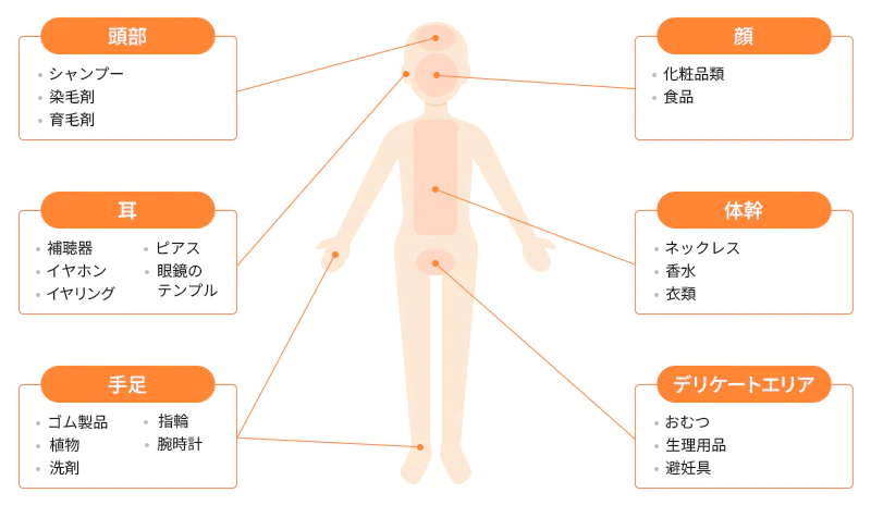 身の回りにあるかぶれの原因のイメージ